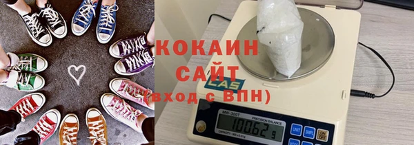 молекула духа Белокуриха