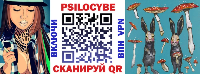 Галлюциногенные грибы Psilocybe  хочу наркоту  Кириши 